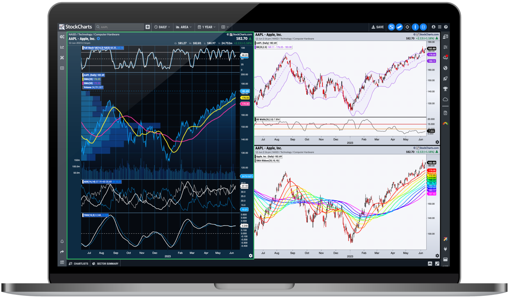 Compared Index Funds Six Months Wrong Color