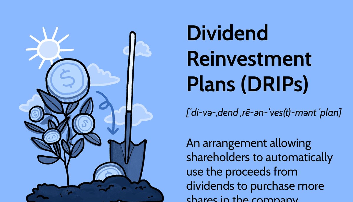Dividend Investing Guide